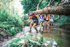 BIB: 
                            <button type="button" onclick="openModal(25474620)" class="btn btn-primary btn-sm float-right btn-popup" data-toggle="modal" data-target=".modal-high-quality">
                        <i class="fas fa-shopping-cart"></i> Add to Cart
                    </button>
                                            <button type="button" onclick="isThisMe(25474620, true)" class="btn btn-success btn-sm float-right btn-popup btn-isme hidden" data-toggle="tooltip" data-placement="bottom" title="นี่คือรูปของคุณใช่ไหม คลิกที่นี่เพื่อเอาเข้าอัลบั้ม">
                        <i class="fas fa-plus"></i> Add to album
                    </button>
                    <button type="button" onclick="isThisMe(25474620, false)" class="btn btn-warning btn-sm float-right btn-popup btn-isnotme hidden">
                        <i class="fas fa-ban"></i> Remove from album
                    </button>